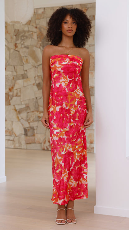 Miya Maxi Dress - Pink/Red Floral